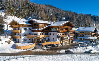 Náhled objektu Grünholz, Mühlbach am Hochkönig, Hochkönig, Rakousko