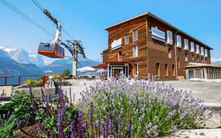 Náhled objektu Das Hotel Panorama, Hasliberg, Meiringen - Hasliberg, Švýcarsko