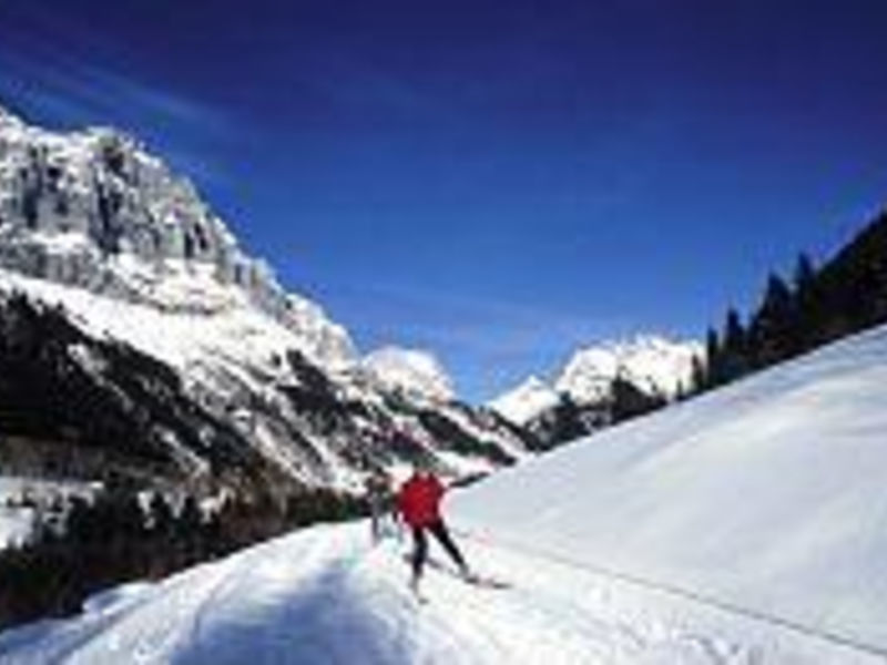 Alpin Sherpa