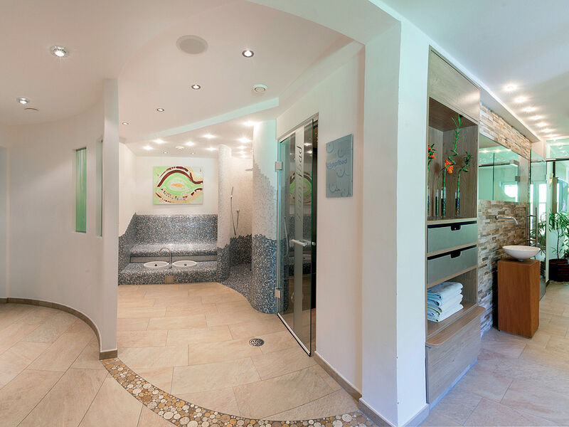 Alpenhotel Badmeister se skipasem