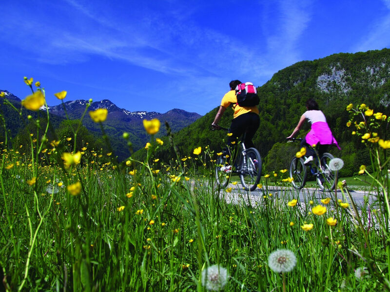 Bohinj