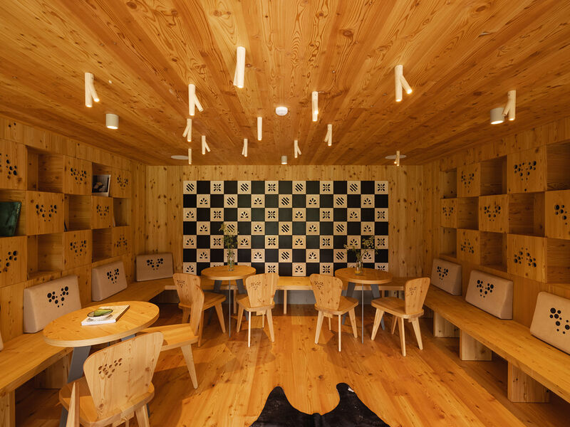 Hotel Bohinj se skipasem