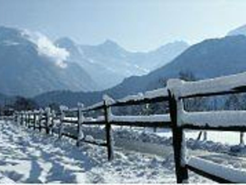 Chalet Swiss