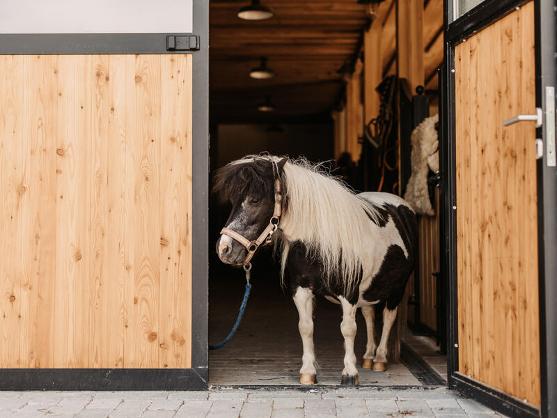 Gut Berg Naturhotel S