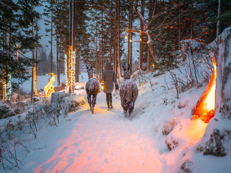 Hotely Mallnitz SKI OPENING Advent