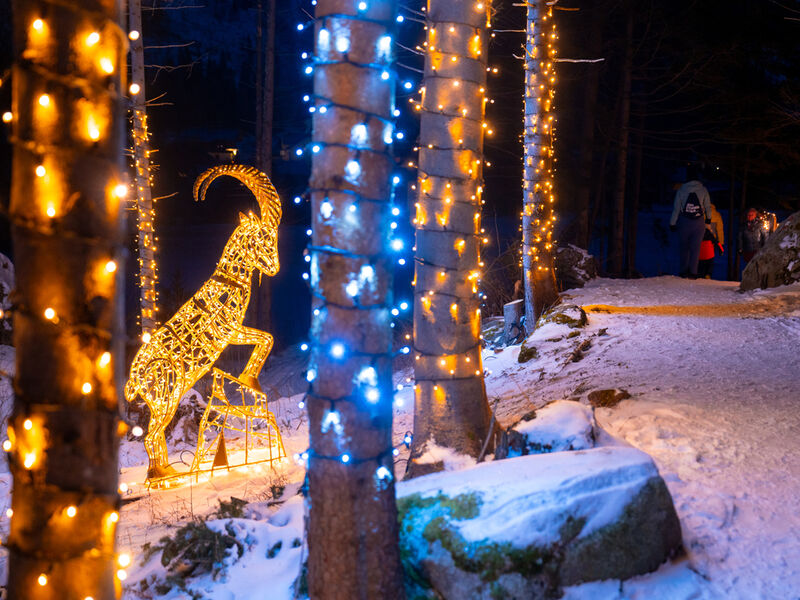 Hotely Mallnitz SKI OPENING Advent