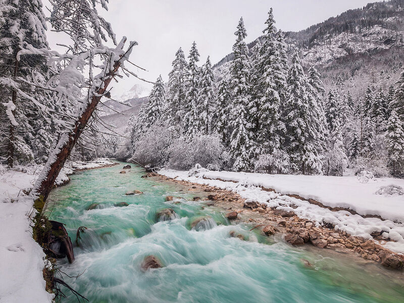 Hotel Kompas - se skipasem