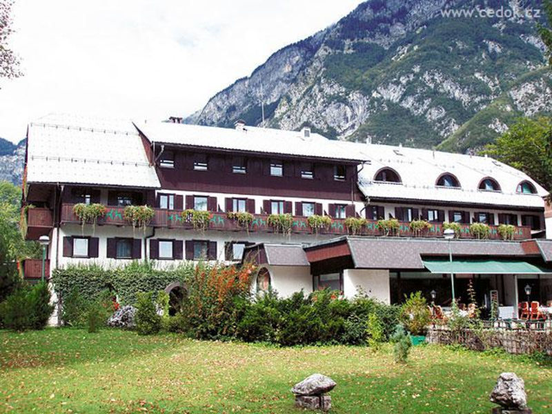 Zlatorog