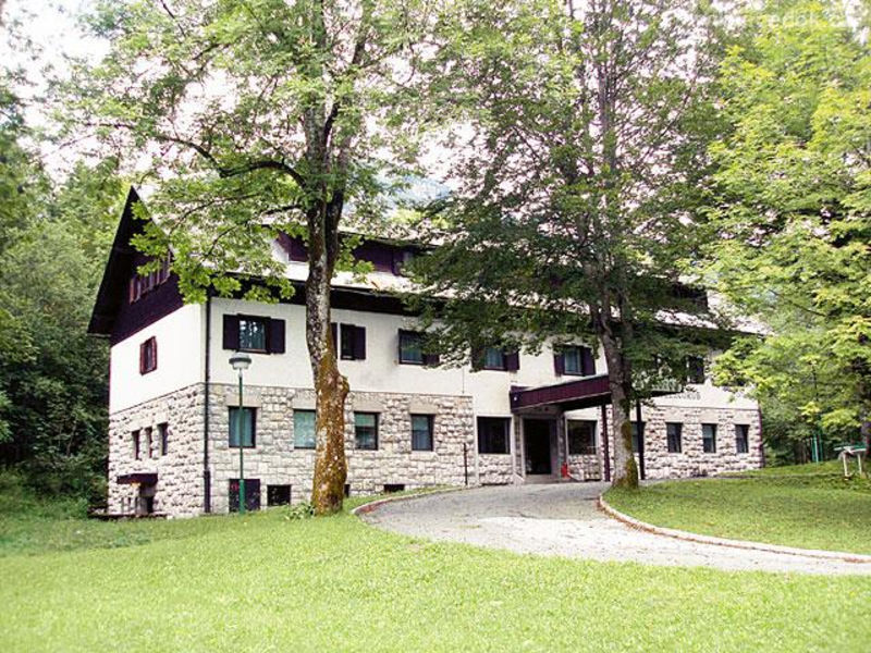 Zlatorog