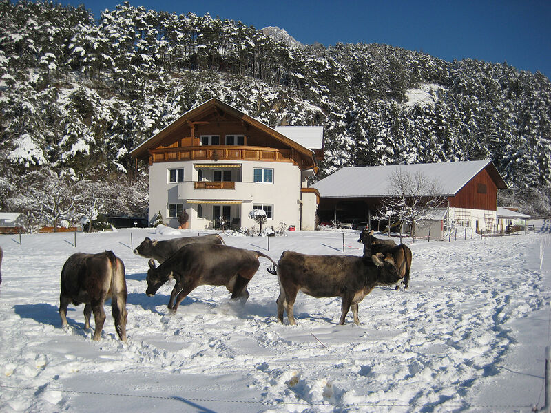 Apartmánový dům Gundolf Arzl