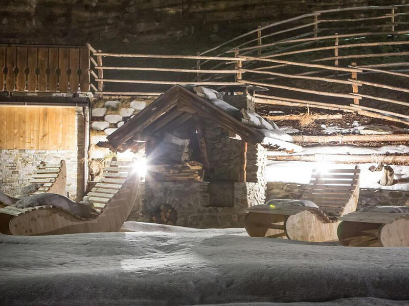 Appartements Alpine Waldheim