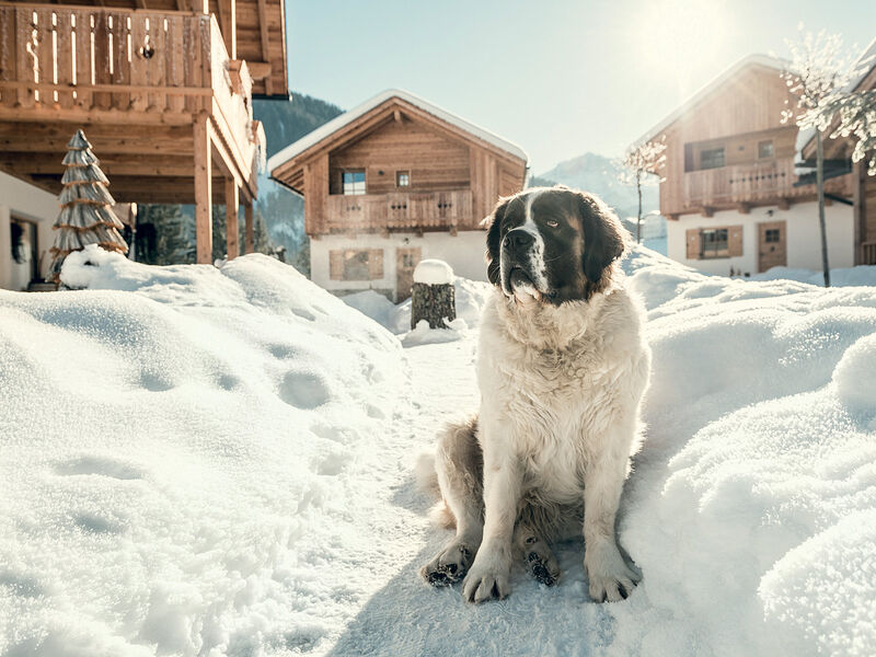 Chalet Pradel Dolomites