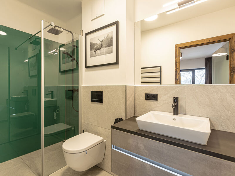 Hideaway Dachstein West by ALPS RESORTS