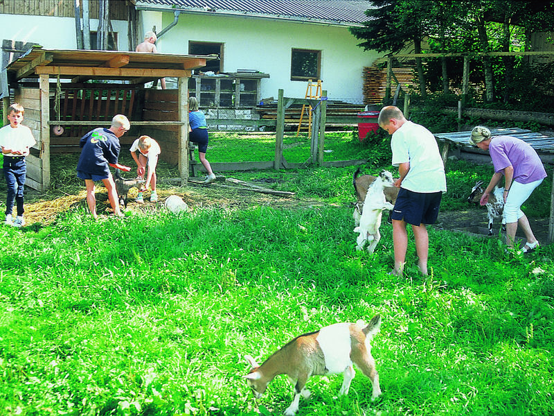 Holzmannhof