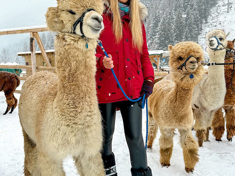 Residence Nira Mountain Resort Futura