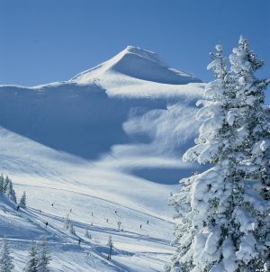Alpbachtal - ilustrační fotografie