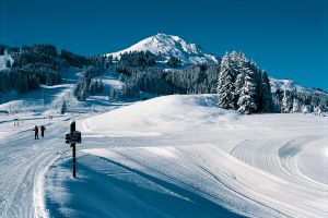 Hohe Salve / Wilder Kaiser - Brixental - ilustrační fotografie