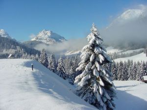 Sappada - ilustrační fotografie