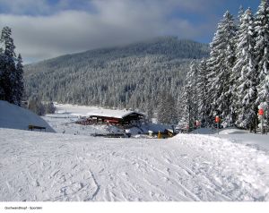 Seefeld / Leutaschtal - ilustrační fotografie