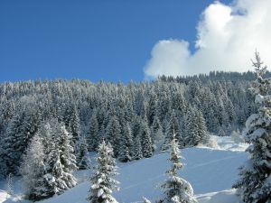 Valmorel / Saint Francois - ilustrační fotografie